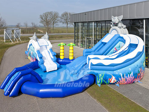 Inflatable Water Park With Pool