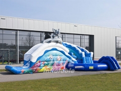 Inflatable Water Park With Pool