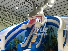 Double Lane Shark Kid Pools With Slides Inflatable Water Slide