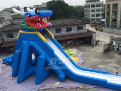 Cheap Blow Up Slides Dargon Inflatable Water Park Slide