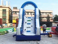 Best Price Promotion PVC Dolphin Inflatable Swimming Pool Slide For Kids