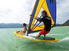 Windsurfing Paddle Board Surf Board