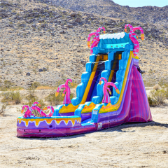 pink inflatable water slide Jyue-IWS-047