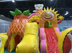 Kids Castle Inflatable Playground For Sale