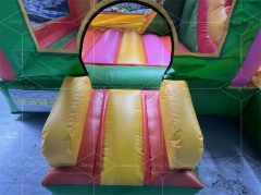 Outdoor Inflatable Jumping Castle with Slide Combo Bounce House for Kids
