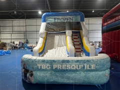 Frozen Double Splash Water Slide